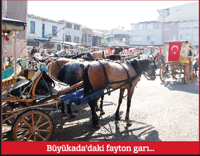 Maziye çek faytoncu